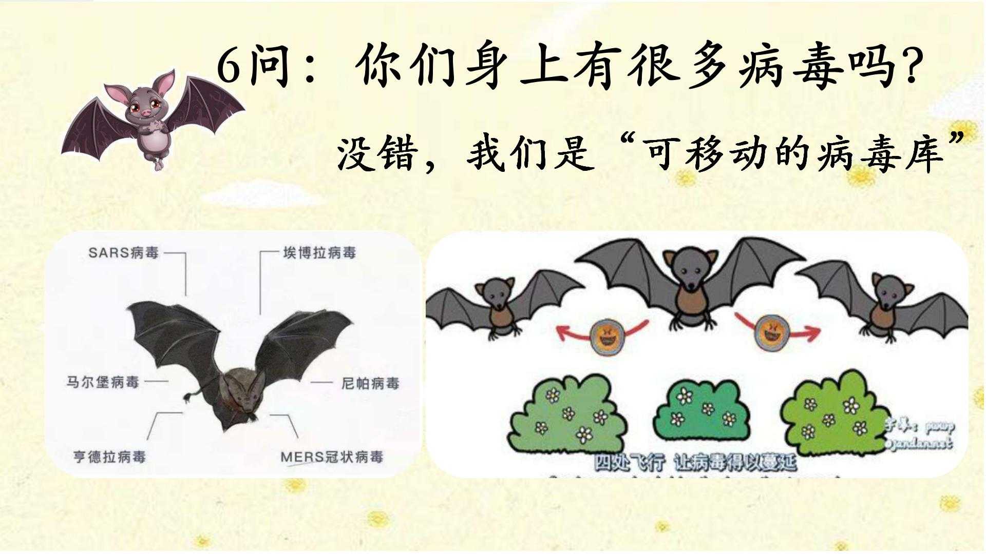 12、看有情众生_08.jpg