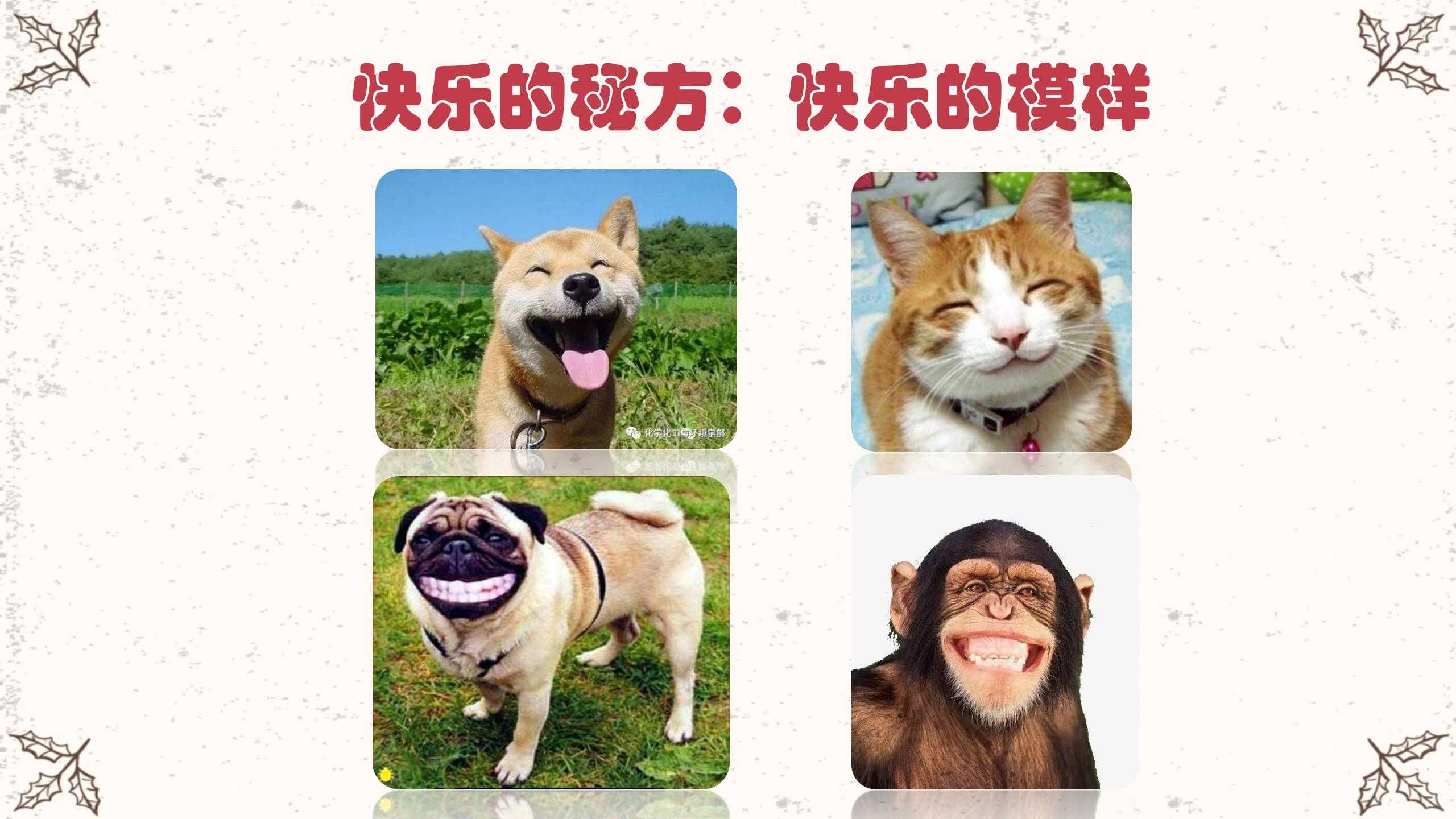 9、快乐的秘方_05.jpg