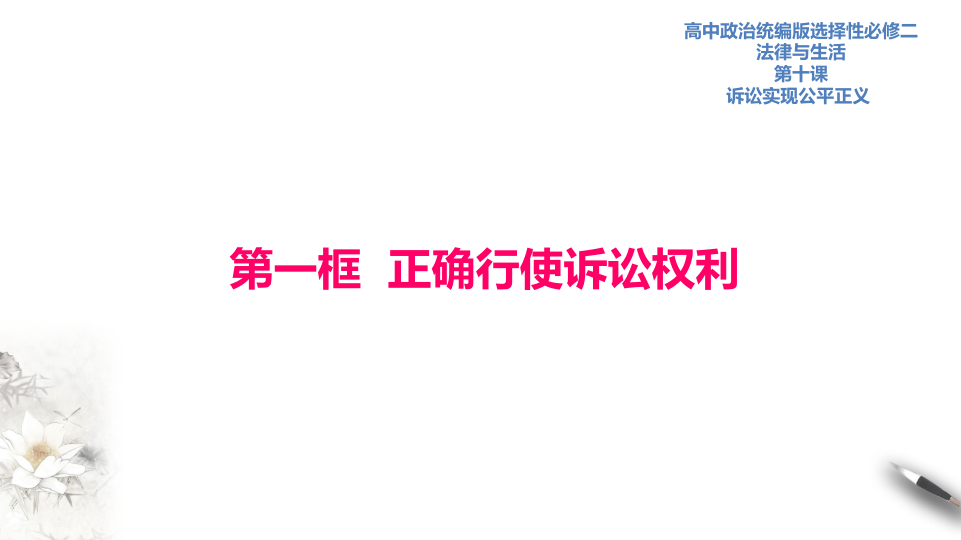 10.1正确行使诉讼权利课件-【新教材精创】2020-2021学年高中政治新教材同步备课（选择性必修2）_1.png