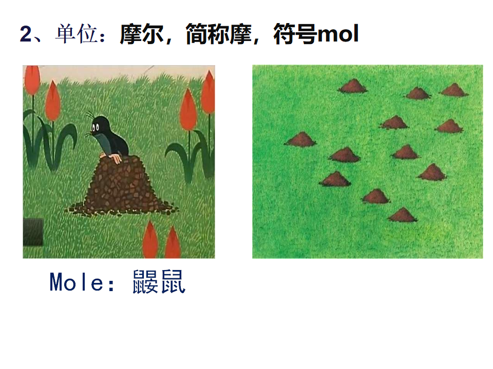 《第三节 物质的量》名师优质课ppt课件_17.png