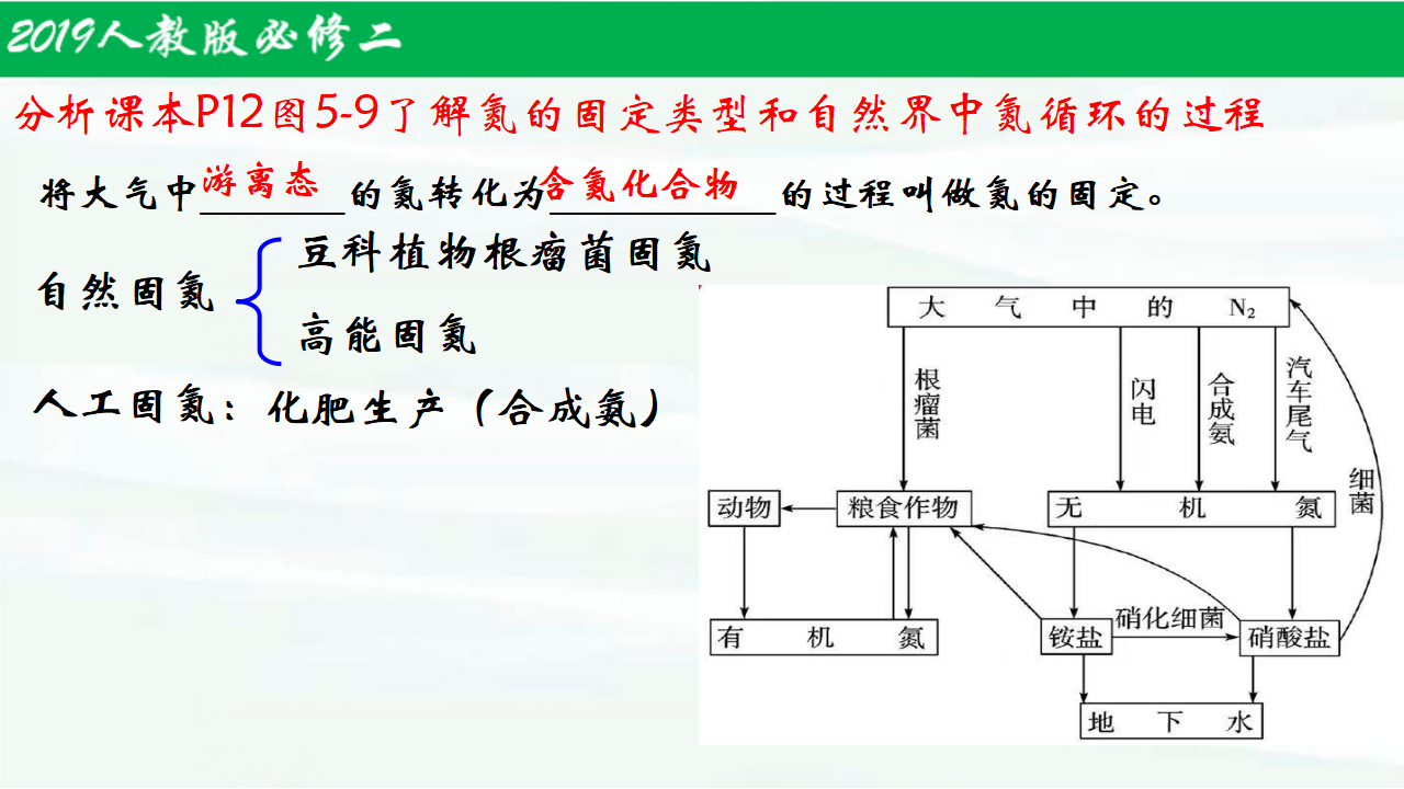 5.2.1氮及其化合物（第1课时）-【名课堂精选】2021-2022学年高一化学同步课件（人教版2019必修第二册）_08.png