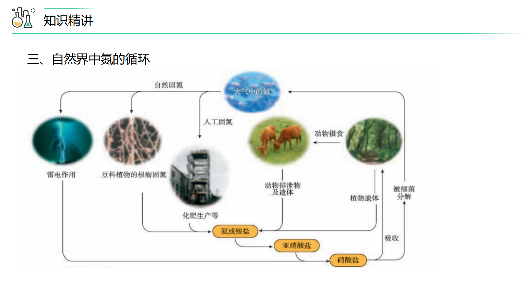第03讲 氮气、一氧化氮、二氧化氮（PPT课件）-【精准提分】2020-2021学年高一化学必修第二册同步培优（新教材人教版）_06.png