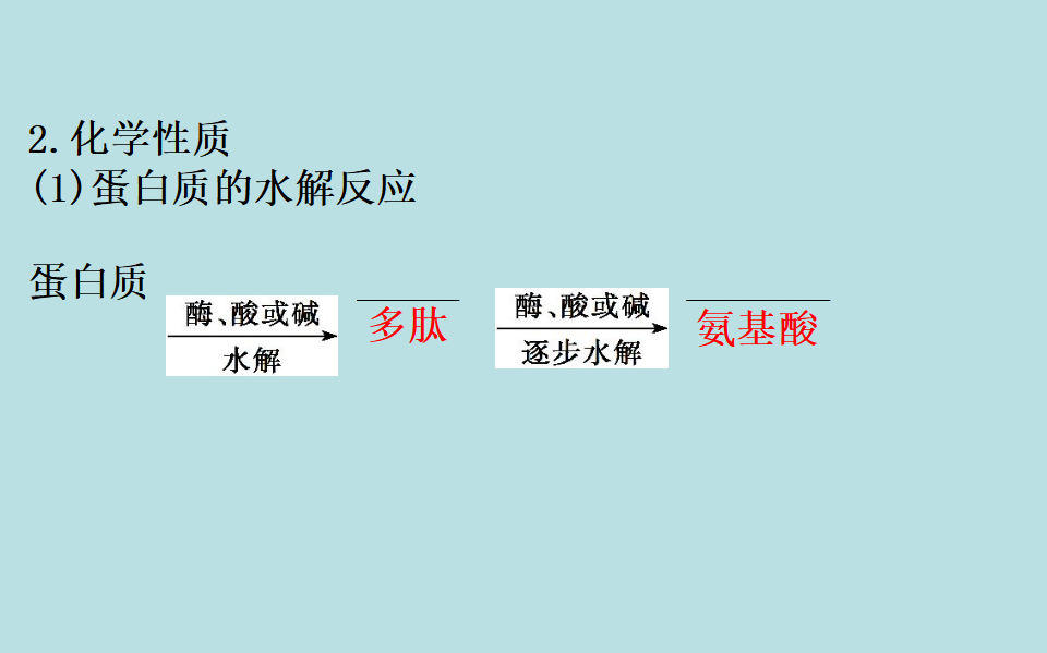 《第四节 基本营养物质》优质教学课件（统编人教版）_04.png