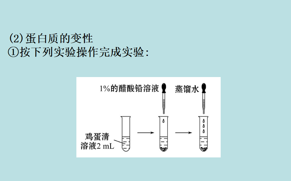《第四节 基本营养物质》优质教学课件（统编人教版）_05.png