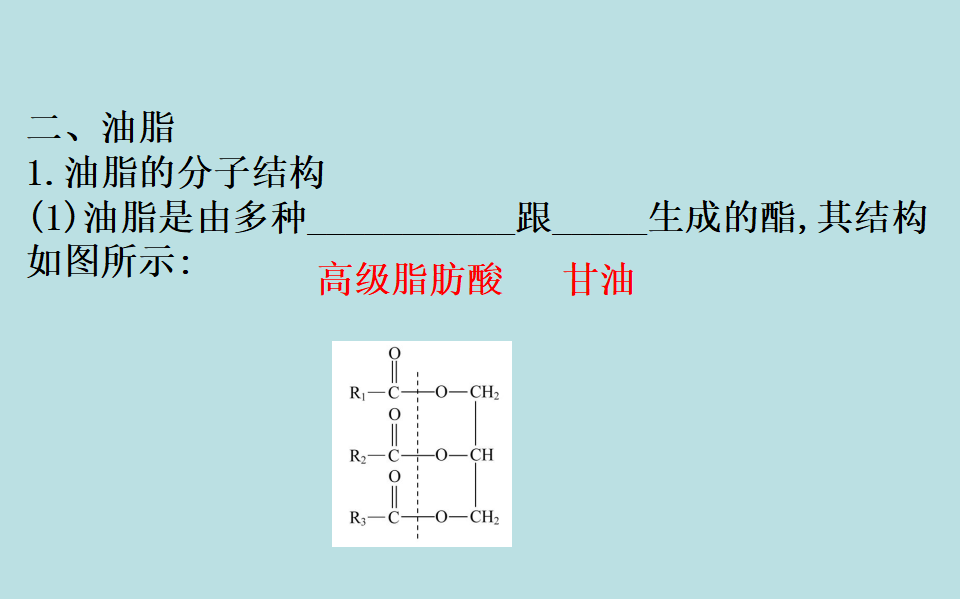 《第四节 基本营养物质》优质教学课件（统编人教版）_20.png