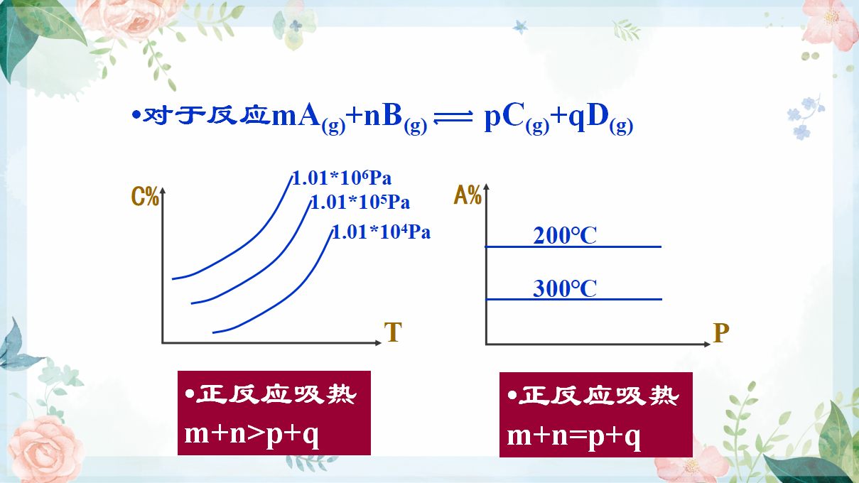 2.2.3 化学平衡图像-2020-2021学年高二化学选择性必修1同步教学课件（新教材人教版）_16.png