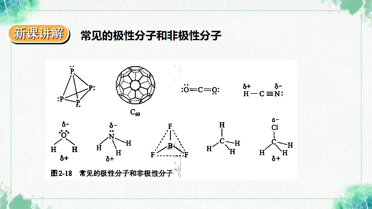 2.3.1  分子结构与物质的性质_10.png