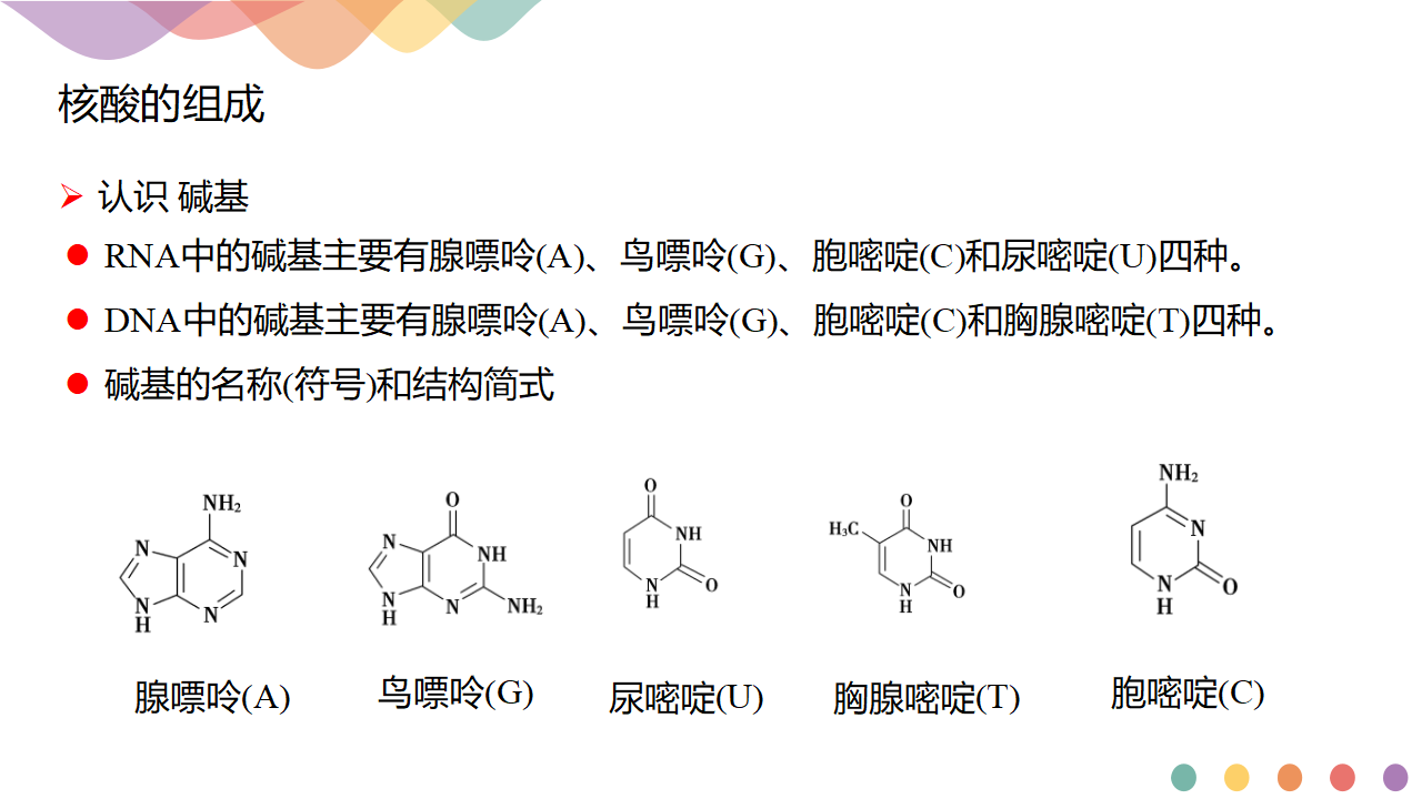 4.3 核酸-课件-2020-2021学年下学期高二化学同步精品课堂新教材人教版选择性必修3共21张PPT_06.png