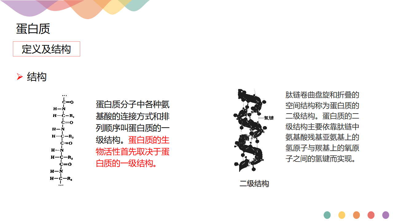 4.2.2 蛋白质 酶-课件-2020-2021学年下学期高二化学同步精品课堂新教材人教版选择性必修3共13张PPT_05.png