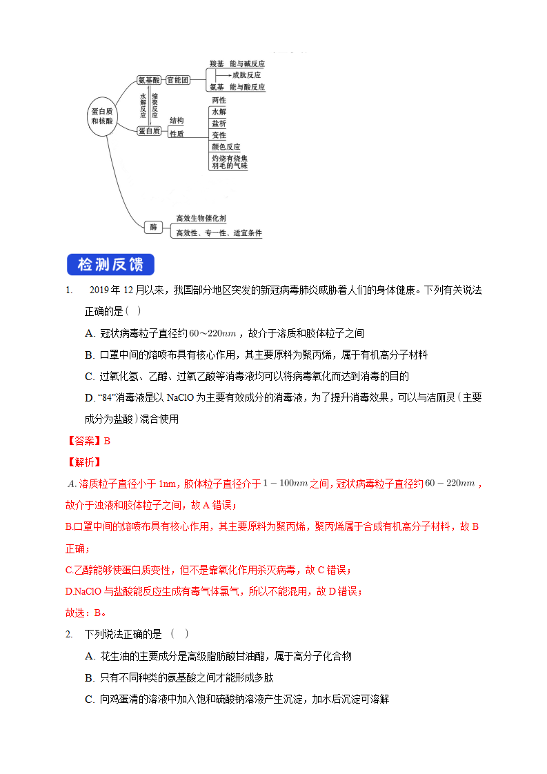4.2.2 蛋白质 酶-学案-2020-2021学年下学期高二化学同步精品课堂新教材人教版选择性必修3（解析版）_05.png