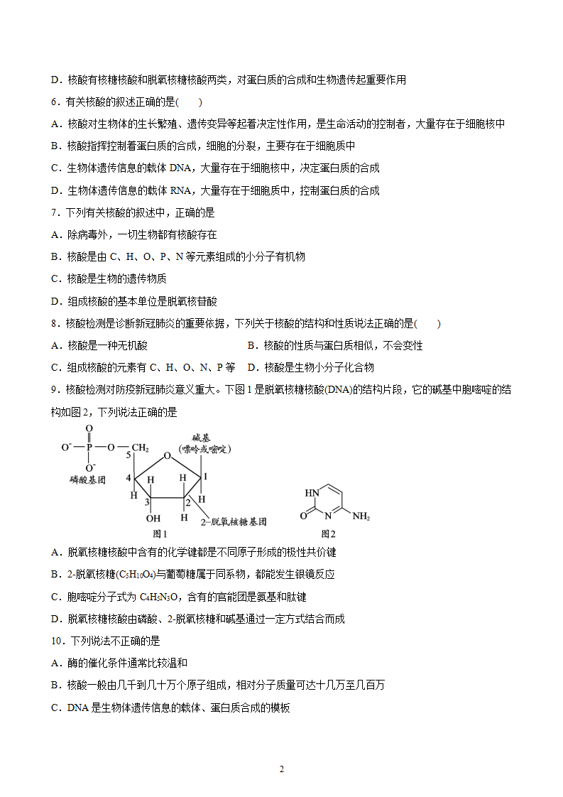 第4章 第3节 核酸 习题【新教材】2020-2021学年人教版2019高二化学选择性必修三（机构用）_02.png