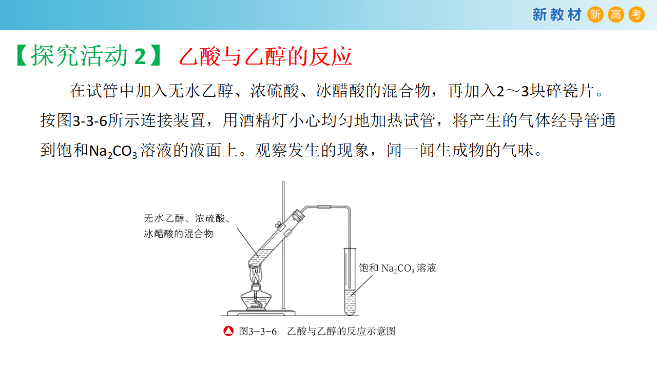 【新教材精创】3.3.2 乙酸 课件（2）-鲁科版高中化学必修第二册共21张PPT_13.png