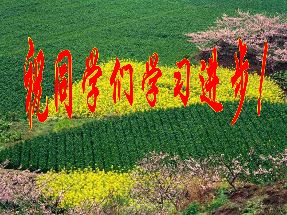 第14课沟通中外文明的“丝绸之路”_38.png