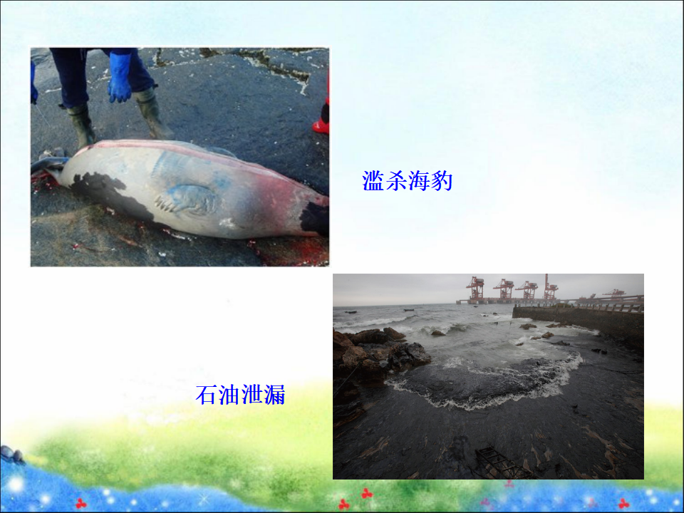 《极地地区》课件2_28.png