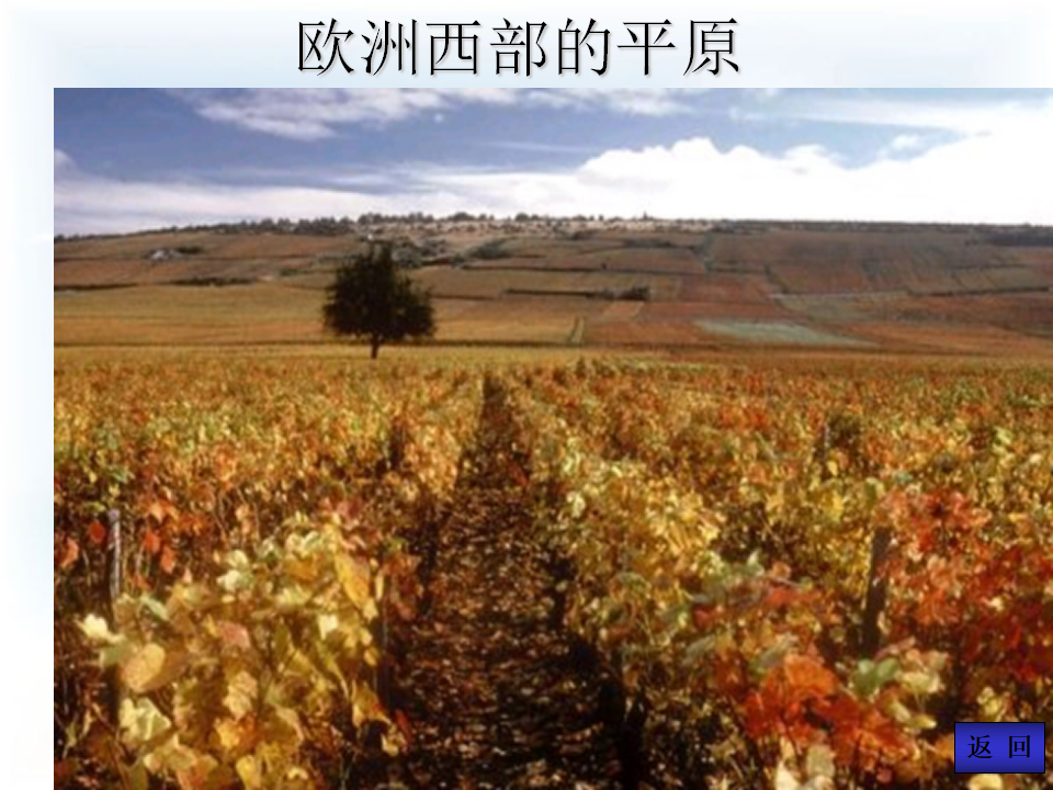 《欧洲西部》课件7_02.png