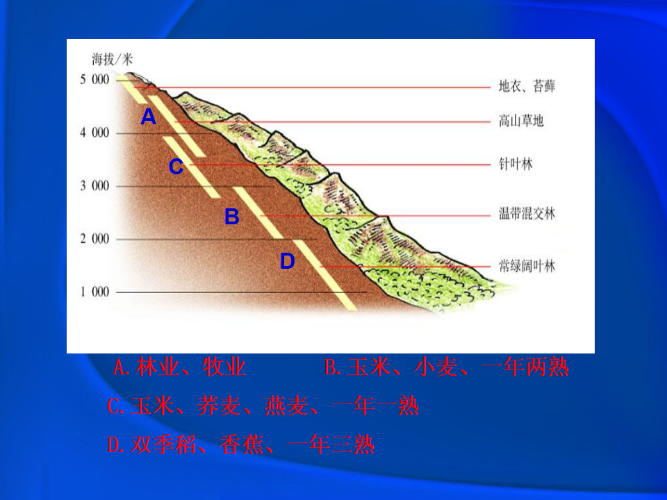 《农业》课件2_16.png