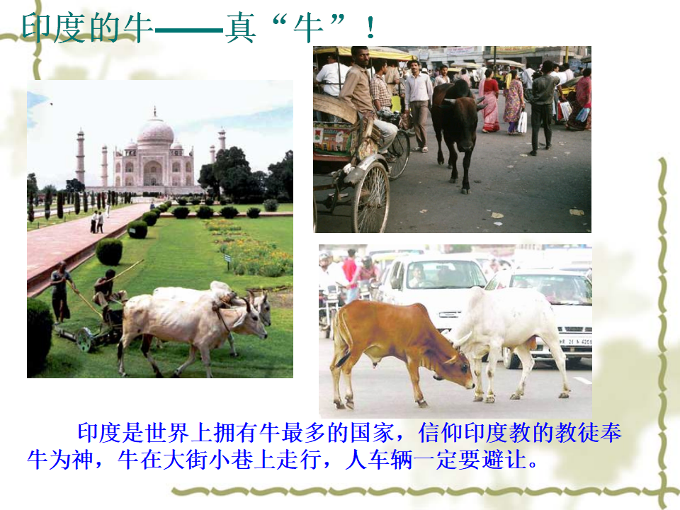 《印度》课件3_38.png