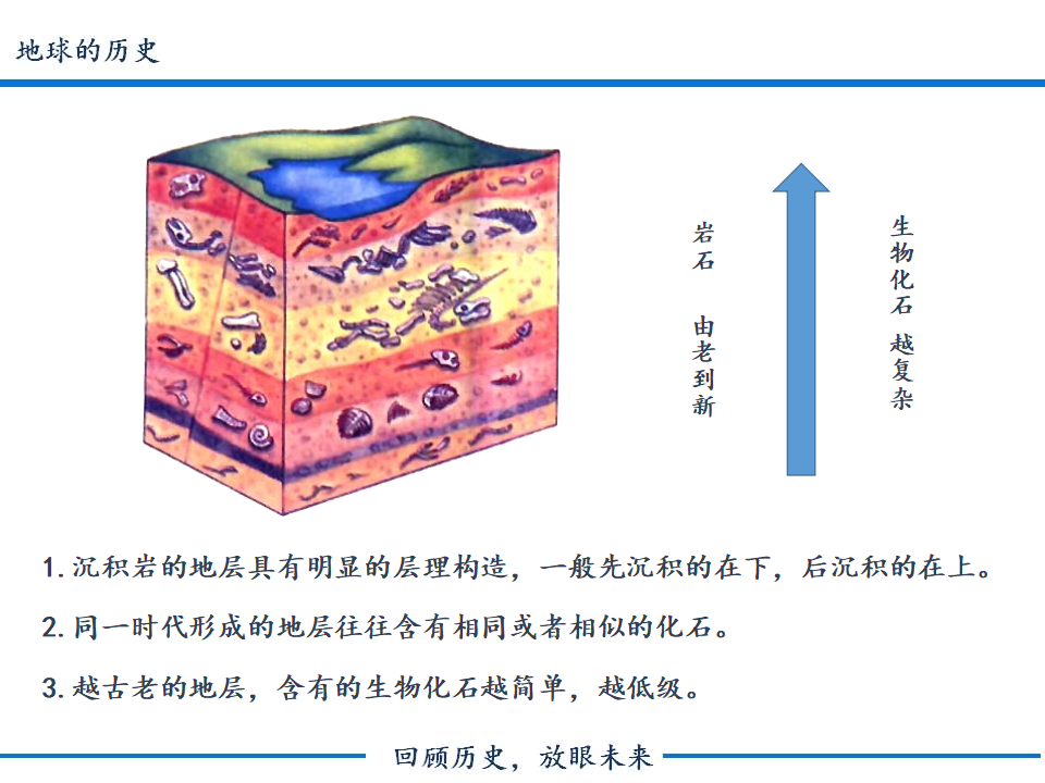 《第三节 地球的历史》获奖说课课件ppt_04.png