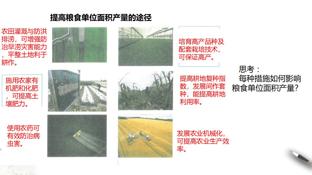 2.3中国的耕地资源和粮食安全 课件_22.png