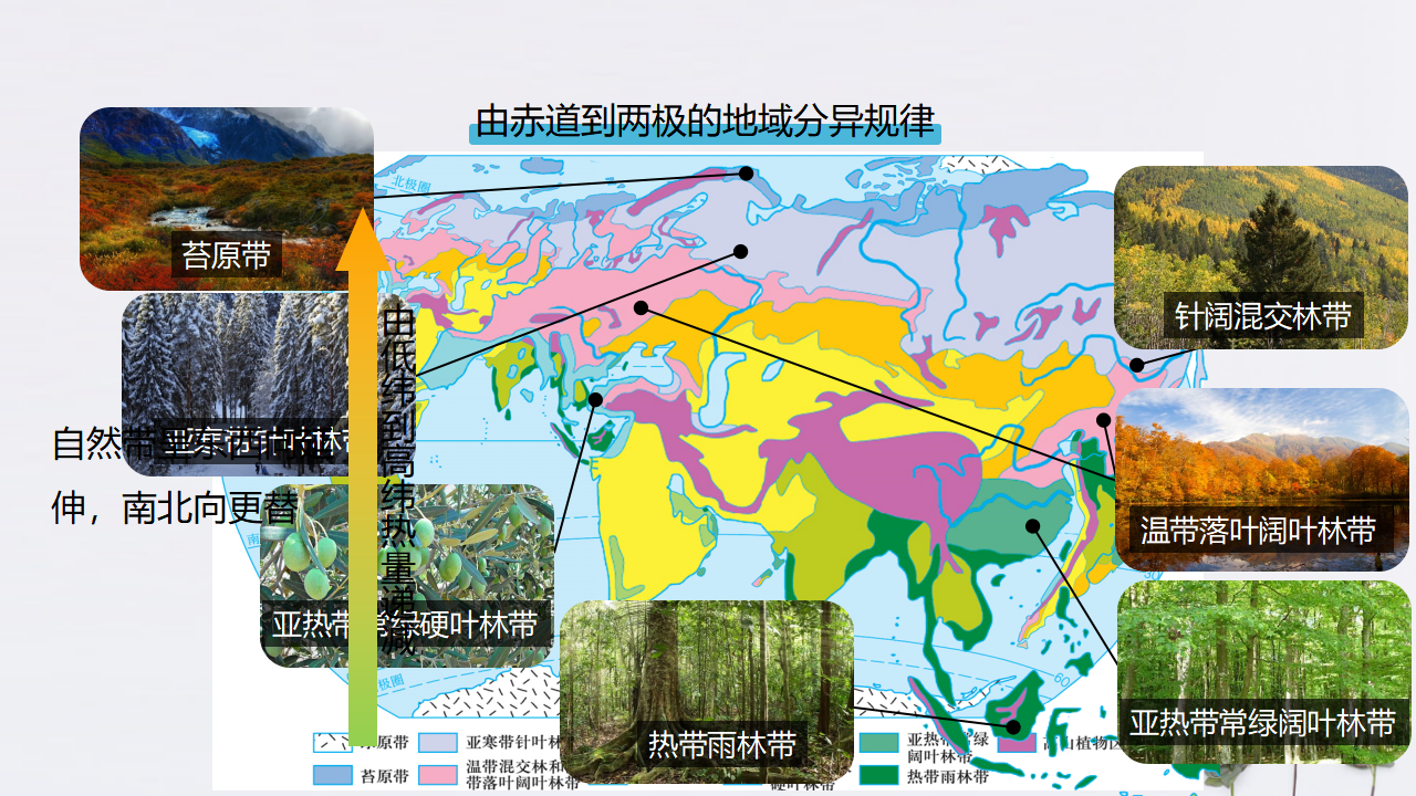 5.2自然环境的地域差异性（课件）-人教版高中地理选择性必修1_10.png