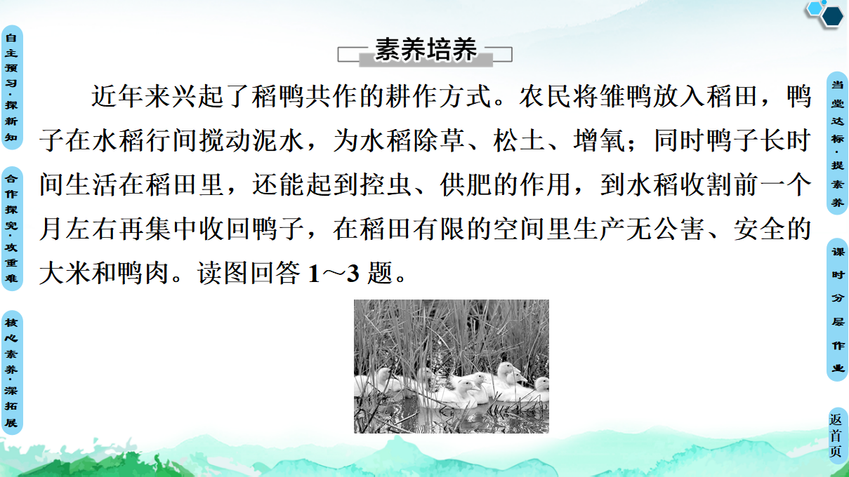 20-21 第1章  第3节　环境问题及其危害_44.png