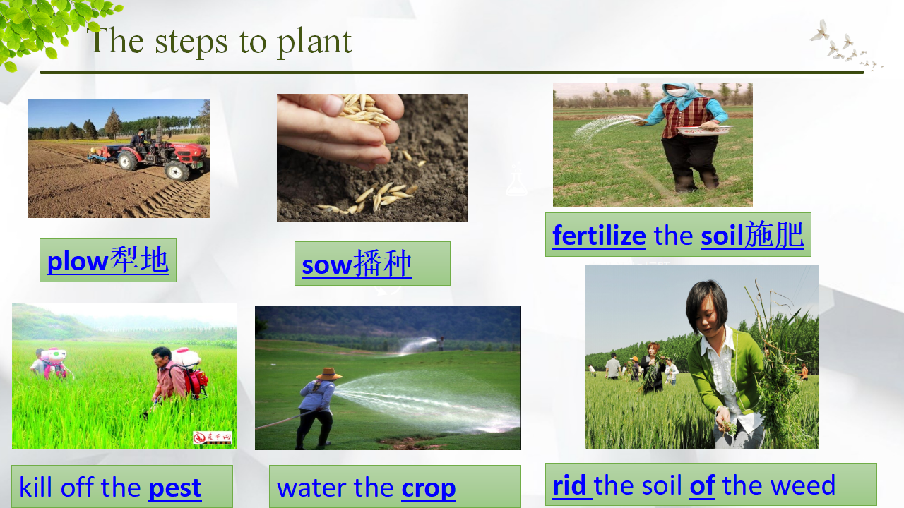 Unit5 Working The Land Using Language Reading For Writing教学课件-[上好课】2022-2023学年高二英语同步备课系列（人教版2019）选择性必修一_06.png