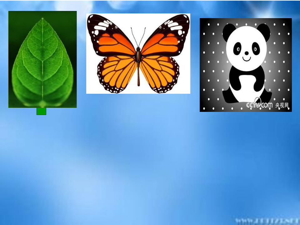 【课件】轴对称图形_13.png