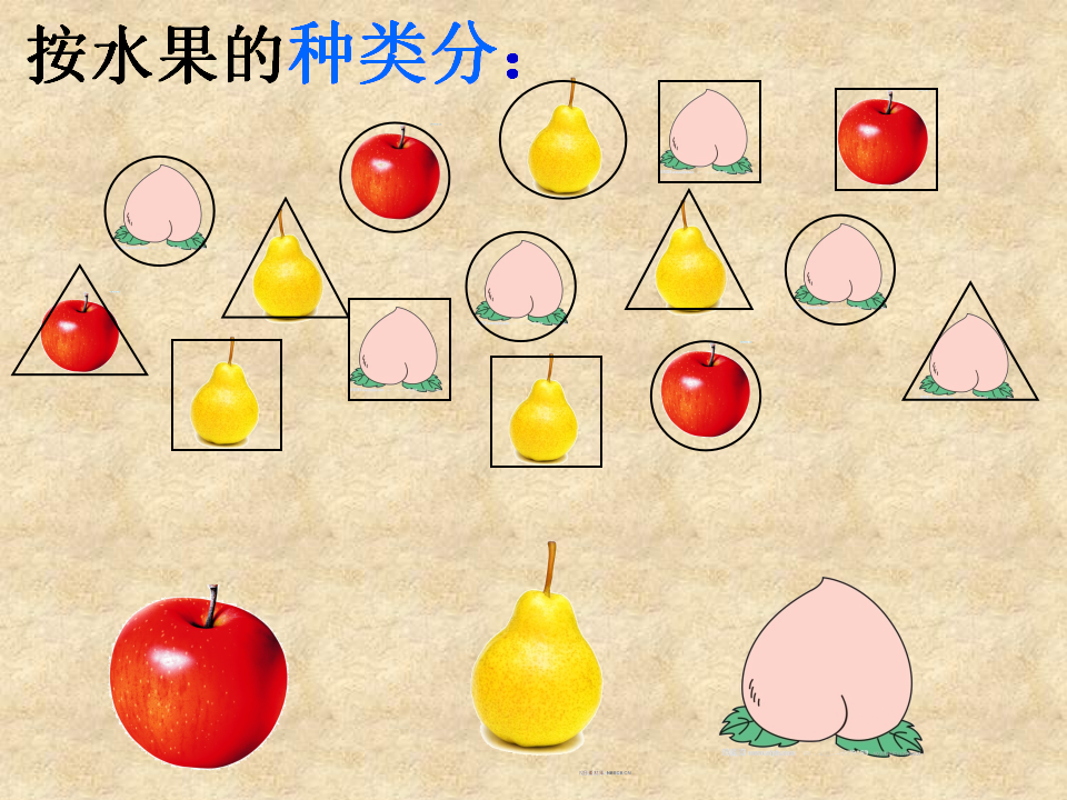 【课件】整理与分类 1_09.png