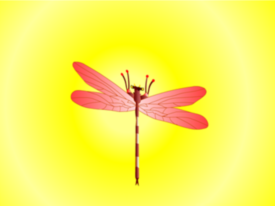 【课件】图形的运动_09.png