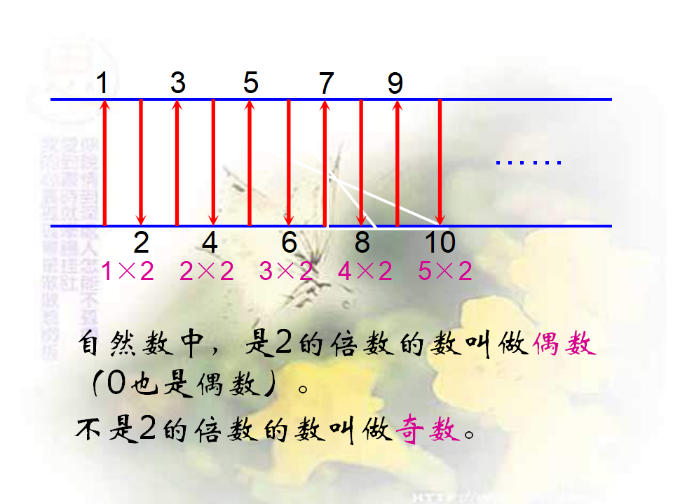 五年级数学因数与倍数复习_04.png