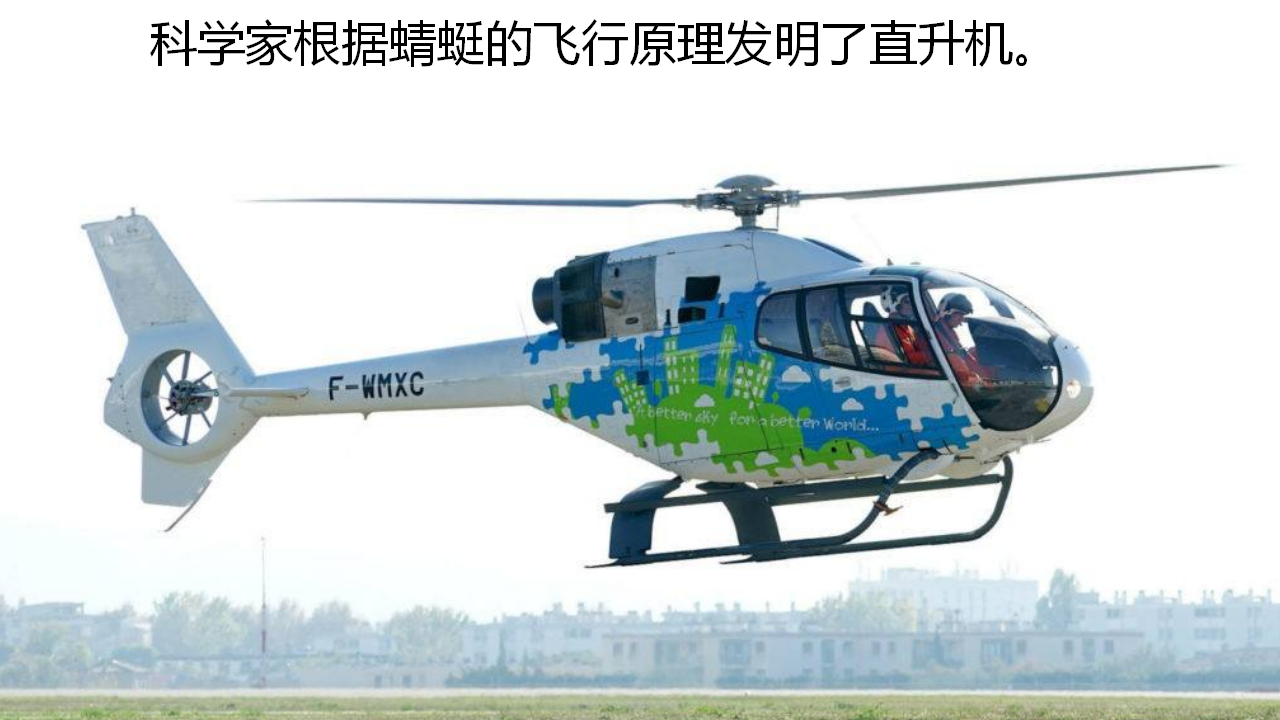 （教学课件）6.夜间飞行的秘密_34.png