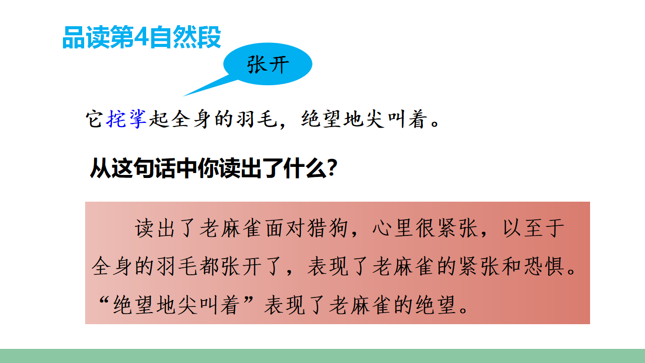 （教学课件）16.麻雀_25.png
