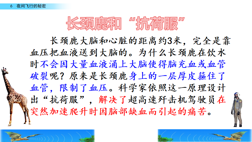6 夜间飞行的秘密_59.png
