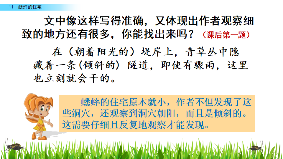 11 蟋蟀的住宅_19.png