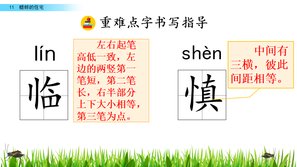 11 蟋蟀的住宅_23.png