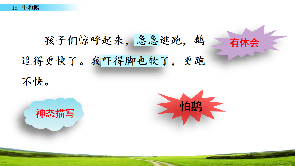 18 牛和鹅_30.png