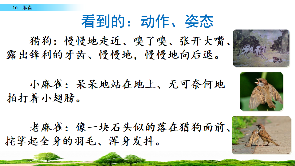 16 麻雀_23.png
