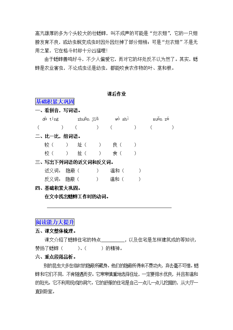11 蟋蟀的住宅 教案_10.png