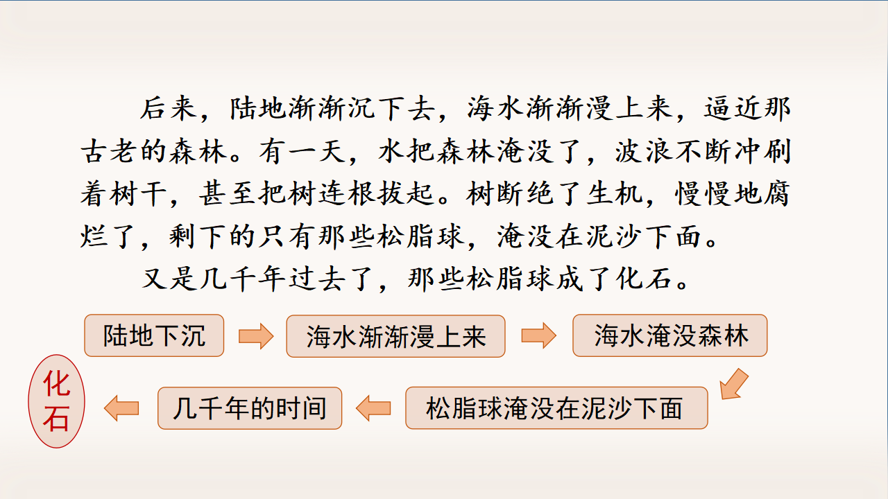 （教学课件）5.琥珀_42.png