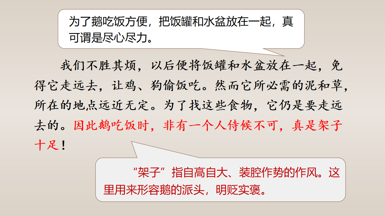（教学课件）15.白鹅_52.png