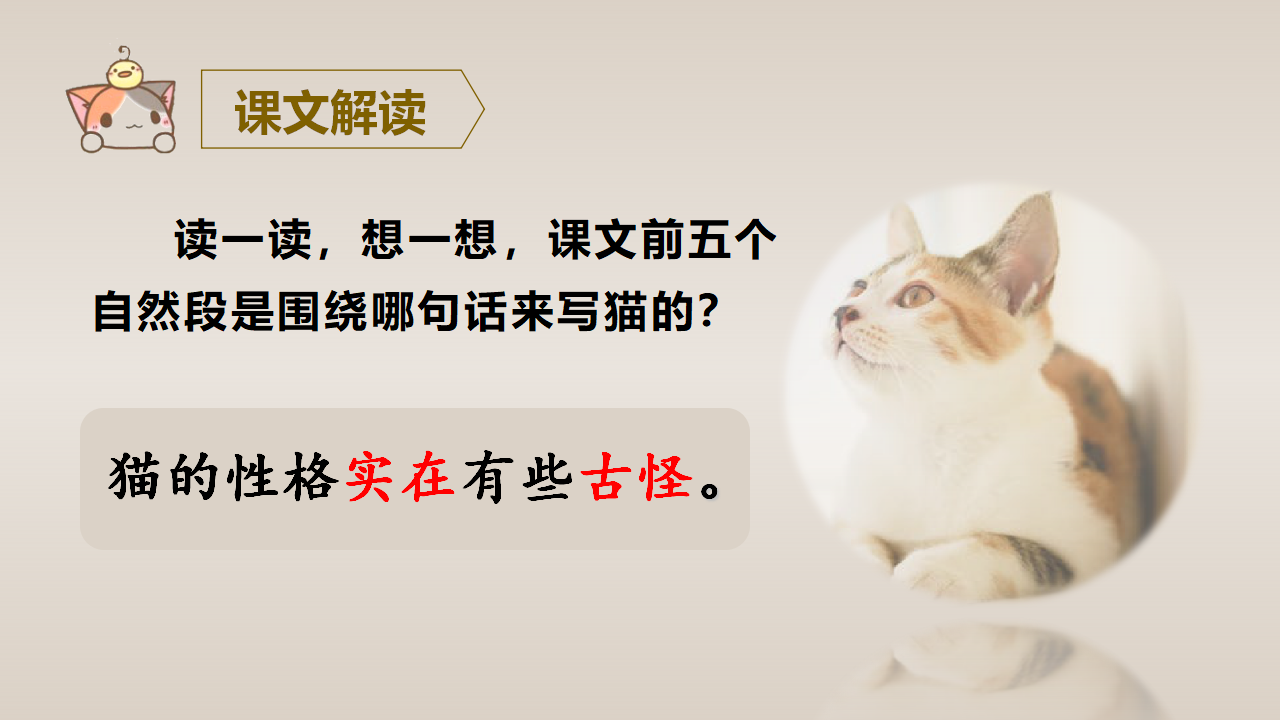 （教学课件）13.猫_37.png