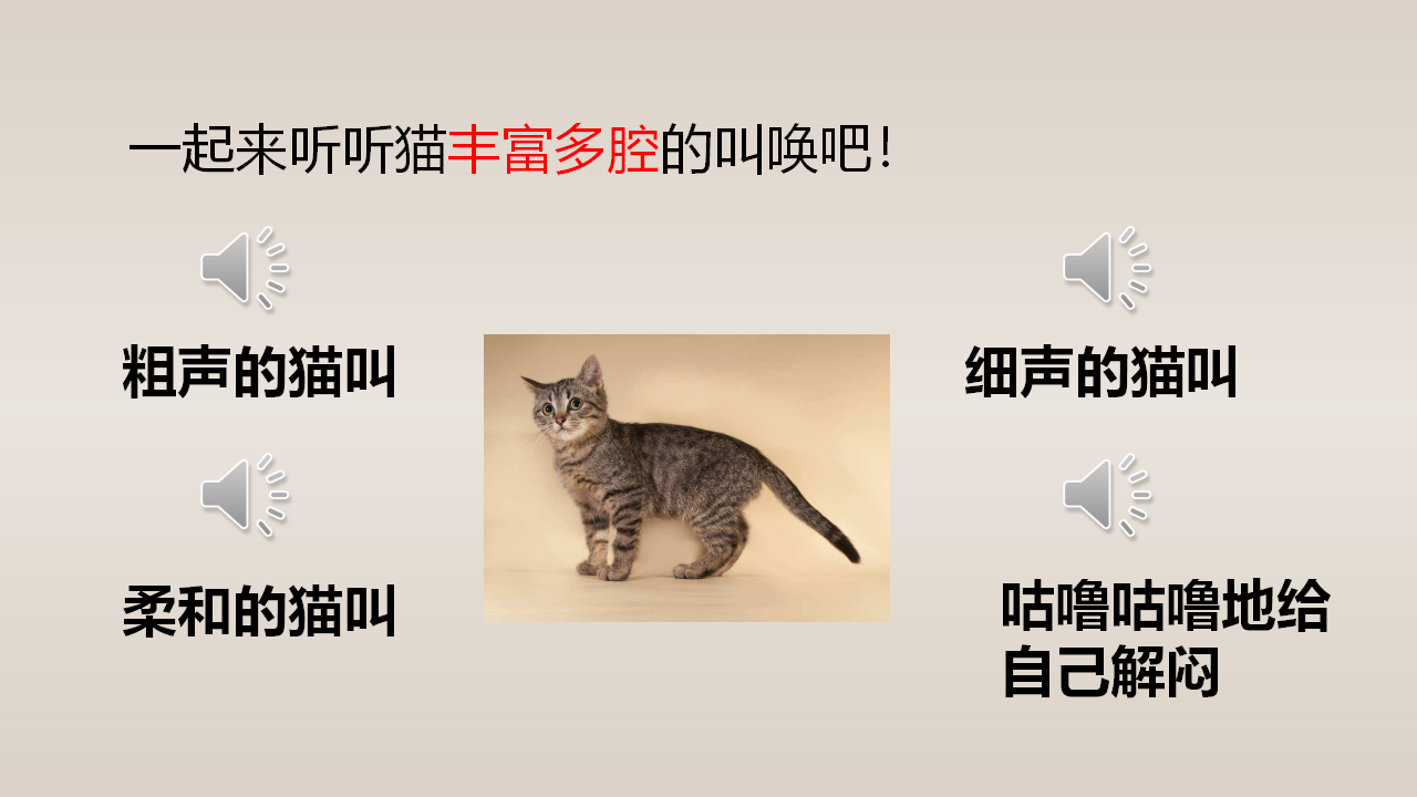 （教学课件）13.猫_47.png