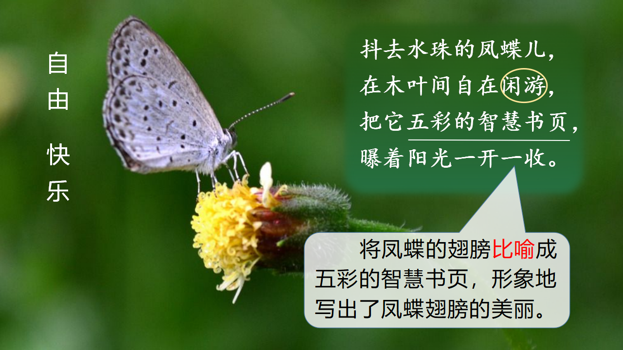 （教学课件）12.在天晴了的时候_19.png