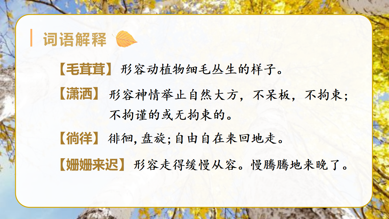（教学课件）11.白桦_20.png