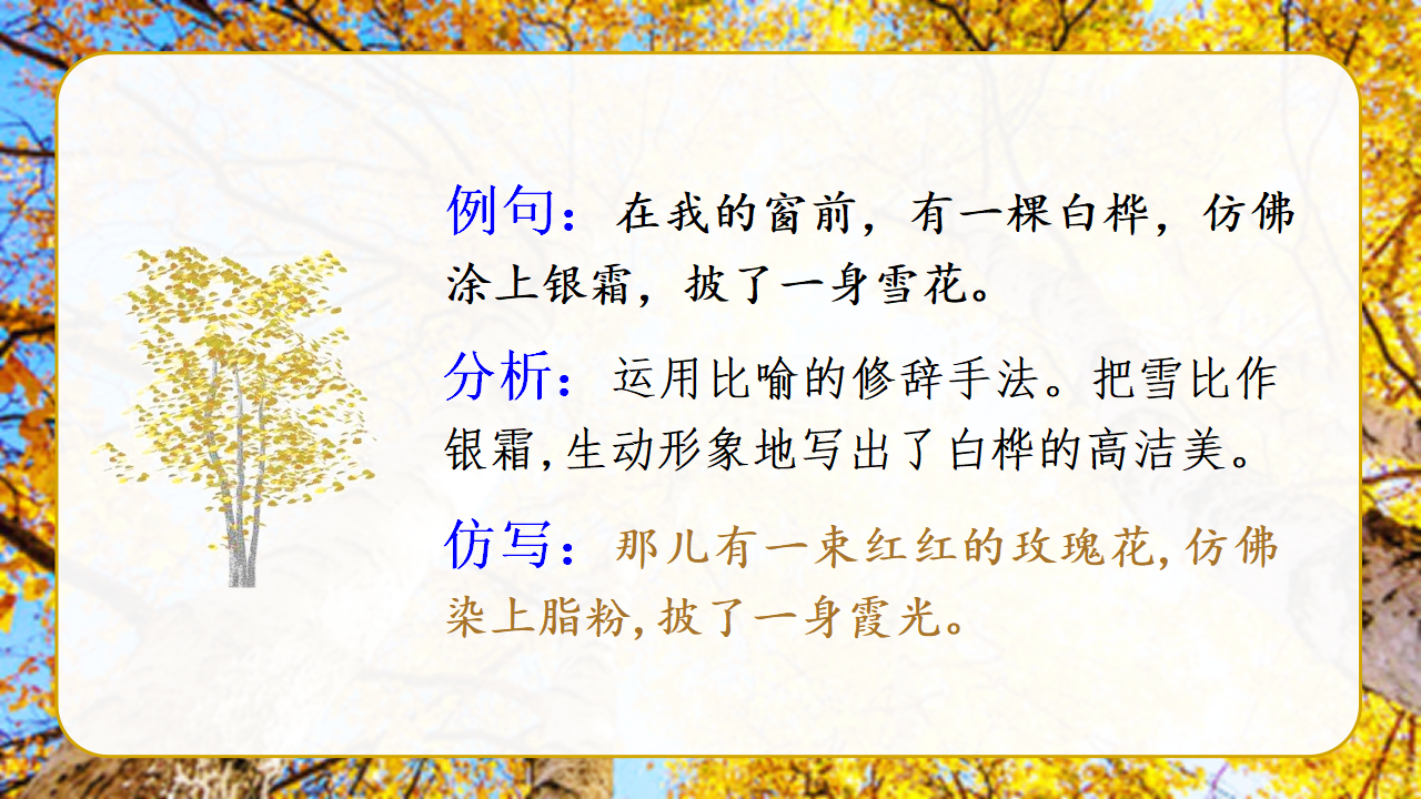 （教学课件）11.白桦_29.png