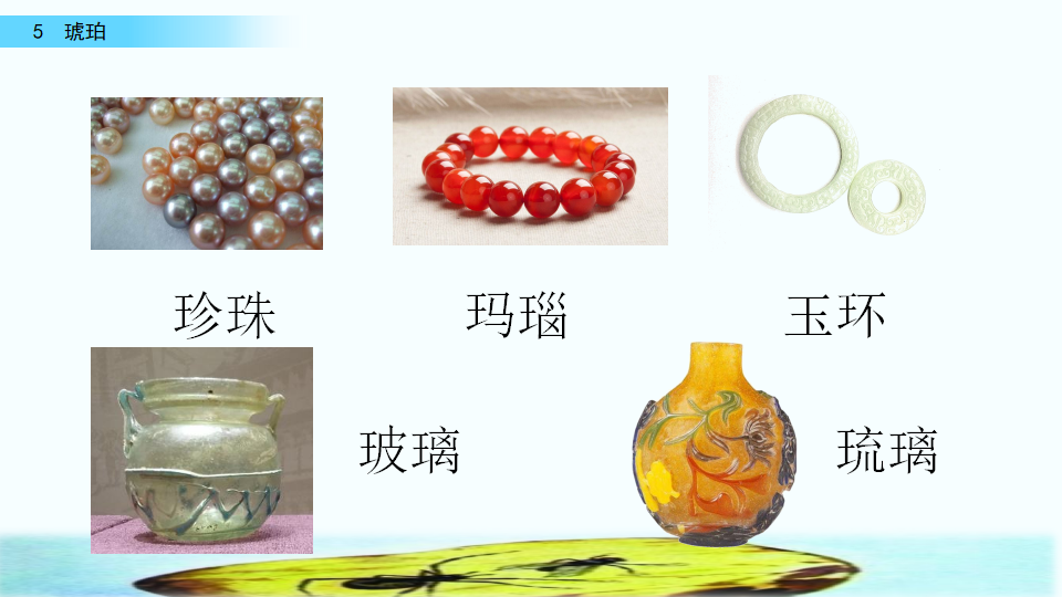 5 琥珀（配套课件）_03.png