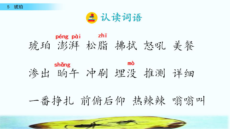 5 琥珀（配套课件）_06.png