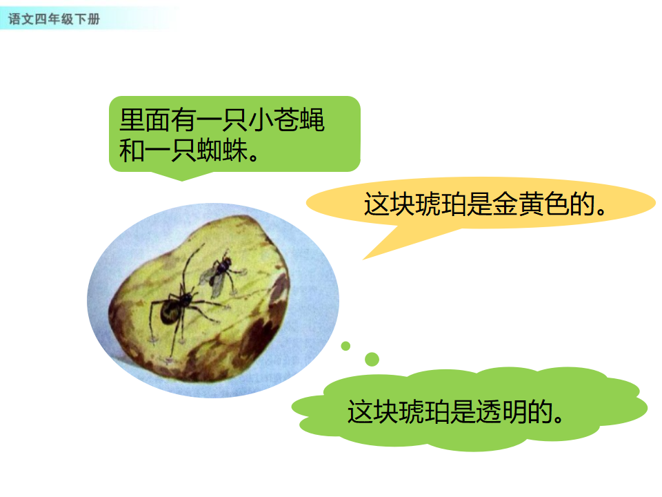 5 琥珀_13.png