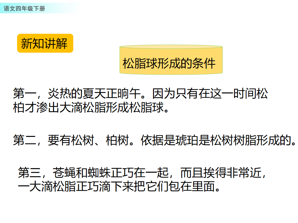 5 琥珀_27.png