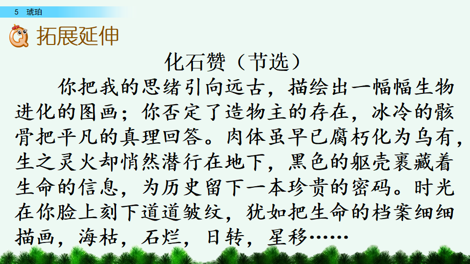 5  琥珀_51.png